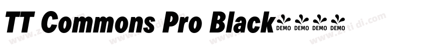 TT Commons Pro Black字体转换